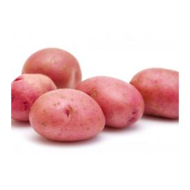 Картофель семенной Беллароза элита 3 кг