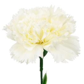 Цветок искусственный Гвоздика белая из ткани (искусственный шелк, полиэтилен) 44х9х9 см