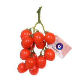 Муляж Ветка помидоры Черри красные 22 см